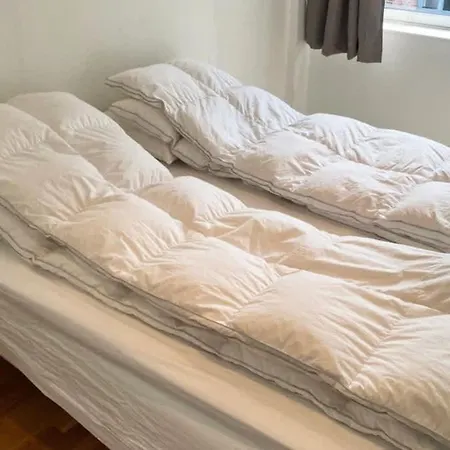 Dinbnb L 700m To Aquarium I 6th Floor And Elevator - Value For The Money * Bergen